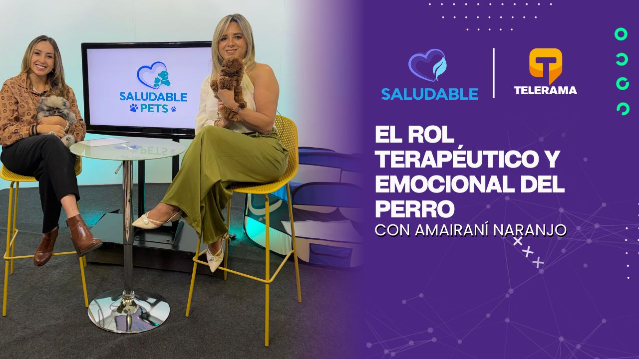 El rol terapéutico y emocional del perro