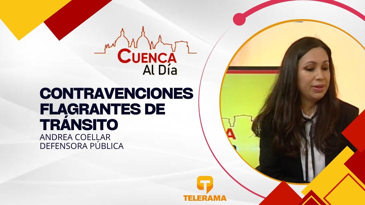 Defensora pública 
Tema: Contravenciones flagrantes de tránsito