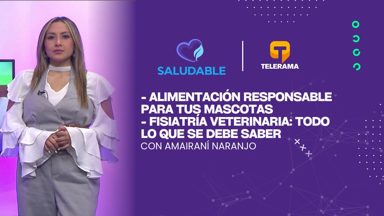 - Alimentación responsable para tus mascotas 
- Fisiatría veterinaria: Todo lo que se debe saber